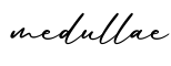 单词medullae书写