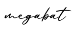 单词megabat书写