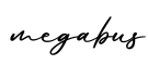 单词megabus书写