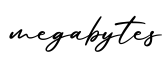 单词megabytes书写