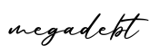 单词megadebt书写