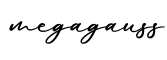 单词megagauss书写