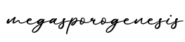 单词megasporogenesis书写