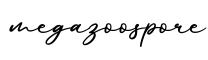 单词megazoospore书写