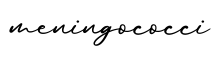 单词meningococci书写
