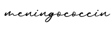 单词meningococcin书写
