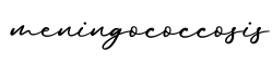 单词meningococcosis书写
