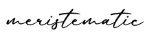 单词meristematic书写