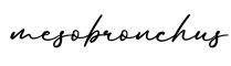 单词mesobronchus书写