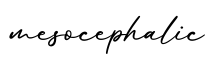 单词mesocephalic书写