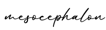 单词mesocephalon书写