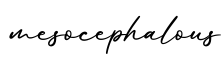 单词mesocephalous书写