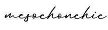 单词mesochonchic书写