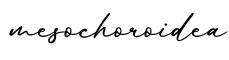 单词mesochoroidea书写
