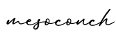 单词mesoconch书写