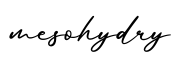 单词mesohydry书写