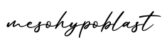 单词mesohypoblast书写