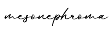 单词mesonephroma书写