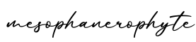 单词mesophanerophyte书写