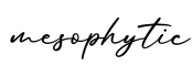 单词mesophytic书写