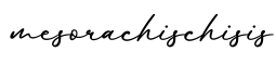 单词mesorachischisis书写