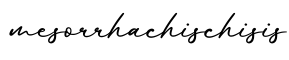 单词mesorrhachischisis书写