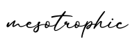 单词mesotrophic书写