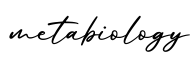 单词metabiology书写