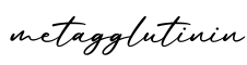 单词metagglutinin书写