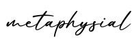单词metaphysial书写