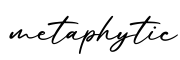 单词metaphytic书写