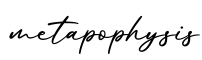 单词metapophysis书写