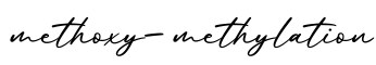 单词methoxy-methylation书写