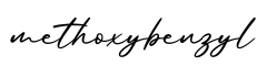 单词methoxybenzyl书写