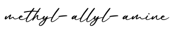 单词methyl-allyl-amine书写