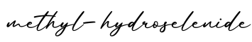 单词methyl-hydroselenide书写
