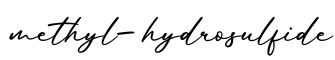 单词methyl-hydrosulfide书写