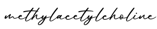 单词methylacetylcholine书写