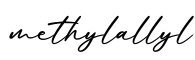 单词methylallyl书写