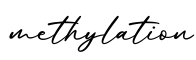 单词methylation书写