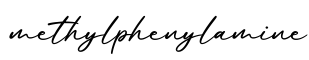 单词methylphenylamine书写