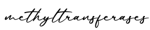 单词methyltransferases书写