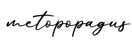 单词metopopagus书写