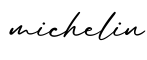 单词michelin书写