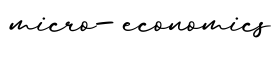 单词micro-economics书写