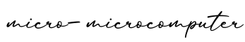 单词micro-microcomputer书写