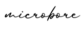 单词microbore书写