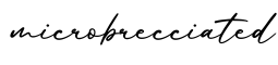 单词microbrecciated书写