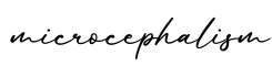 单词microcephalism书写