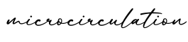 单词microcirculation书写